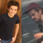 Rising temperatures in the Arctic increase extinction risk for seal species