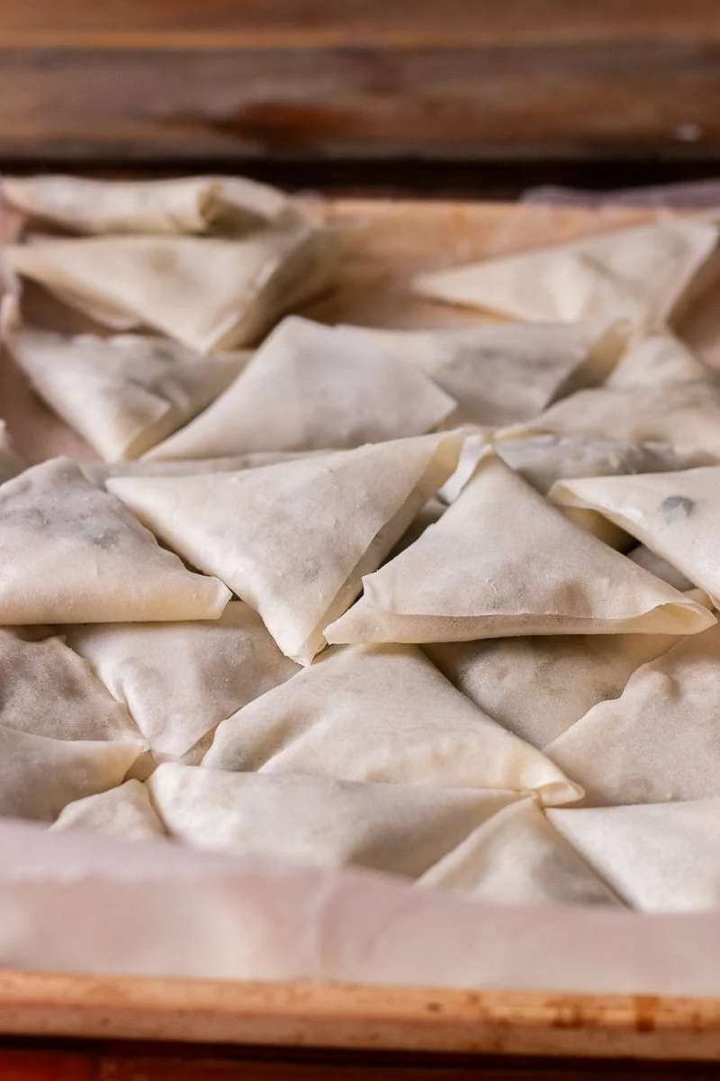 keema samosas in a tray flash frozen