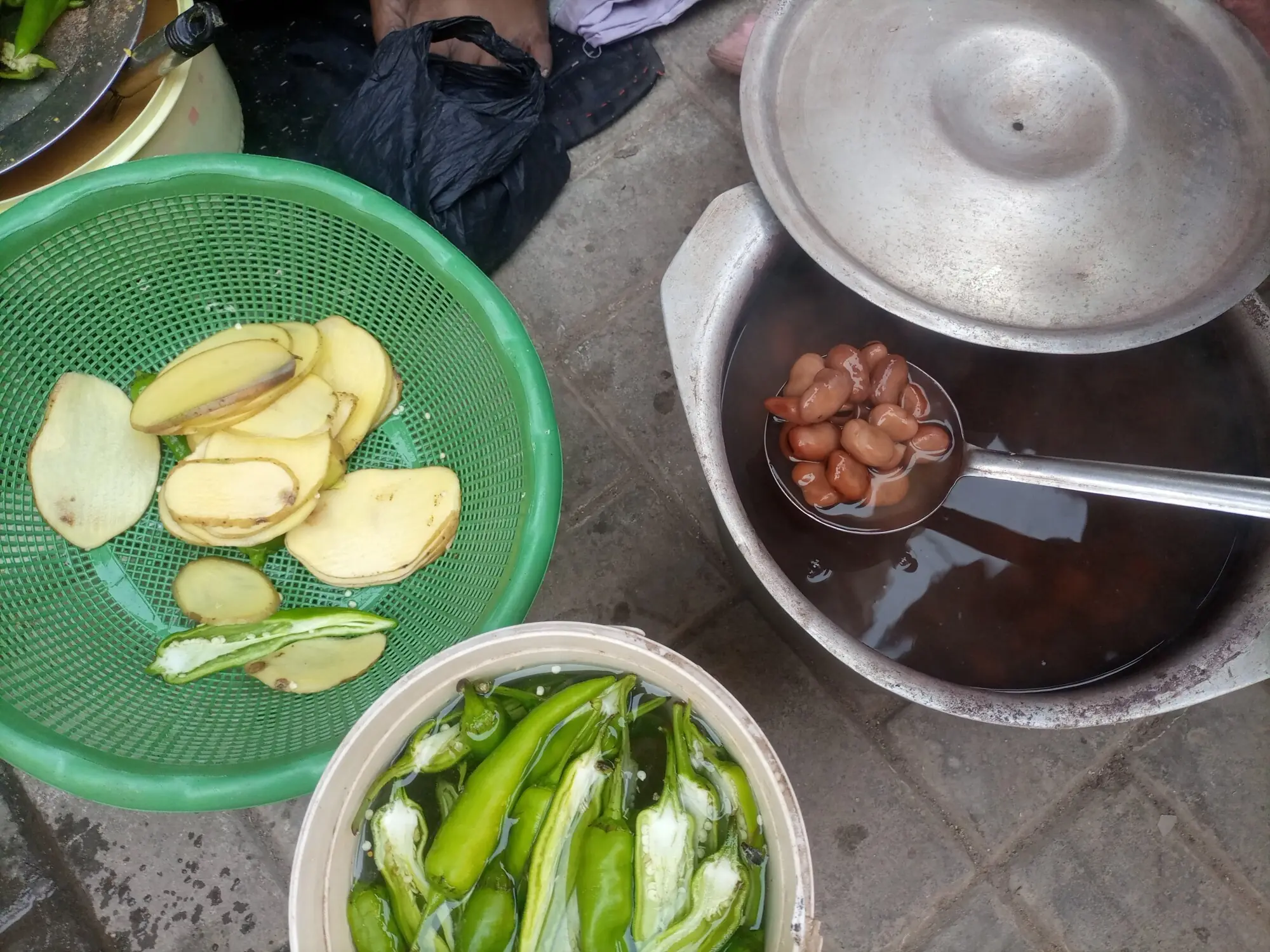 Freshly cooked fava beans | Photos by the writer