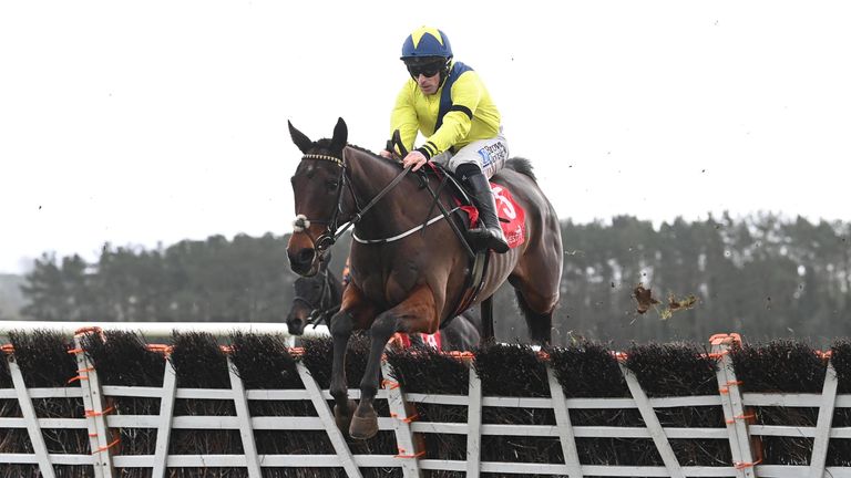 William Munny could head to Punchestown next (Photo: Healy Racing)