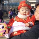 Shark mauls surfer in Sydney, third attack in two days