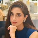 Chicken Sandwich Variations