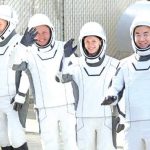 Six whales die after mass stranding on remote NZ beach