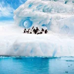 India’s gem and jewellery exports to US drop 44.42%, GJEPC raises concerns