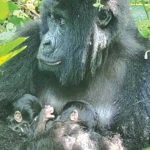 Britney Spears shares bombshell reason about dancing on social media