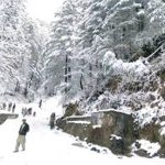 Prince William, son George continue Diana’s legacy with Christmas trip to homeless shelter