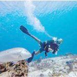 Elon Musk unveils plans to take humanity to the Moon and Mars