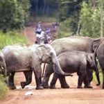 UK govt launches probe into Telegraph newspaper sale