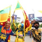 Over 400 Trees Relocated for Rawalpindi Underpasses