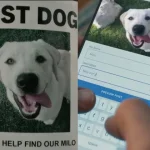 Tekken star Arslan Ash relocates to Japan as new competitive base