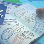 ہندوستان کی انڈر-19 کرکٹ ٹیم شاہانہ انداز میں بنی ’چمپئن‘، فائنل میں انگلینڈ کو 100 رنوں سے دی شکست