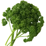 Balochistan Moves to Set Up Modern Safe City Authority