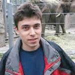 Hong Kong marks Year of the Horse with international night parade