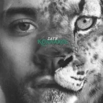 Taylor Swift announces ‘Opalite’ music video, releasing exclusively on Apple Music and Spotify Pemium