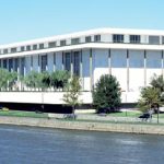 Seven dogs goes viral after escaping captivity in China and trekking 17km home