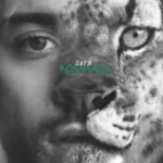 Viral Hailstorm Warning for Islamabad Causes Concern Online