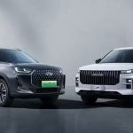 Will the Government Continue Fuel Subsidies After Price Cuts?