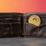 Tesla’s supervised self-driving software gets Dutch okay, first in Europe