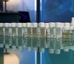 Sosandar strengthens in latest year, stores start to pay off but no new openings planned