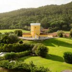 Decathlon's sales volume grew by 7.1% in 2025