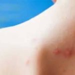 Bitcoin Nears $80,000 as Institutional Buyers Fuel Structural Rally