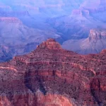 Where is Savannah Guthrie? ‘Today’ host leaves mid-show as insider explains absence