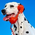 Inditex rolls out large-scale in-store concepts across Massimo Dutti, Zara Man, and Zara Home