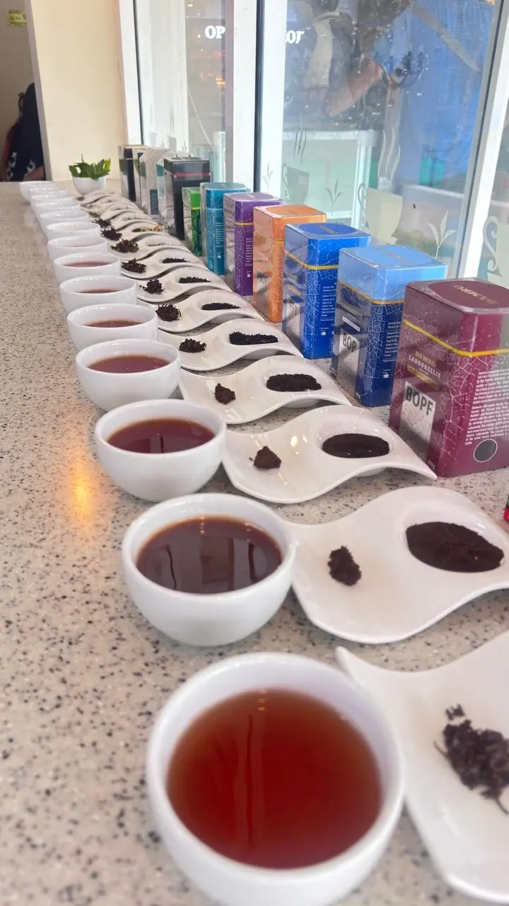  Tea as far as the eye can see. 