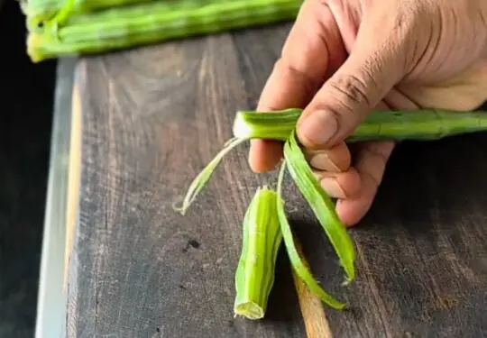 Peeling the moringa drumsticks